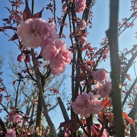 Il Bivio Affittacamere 3*