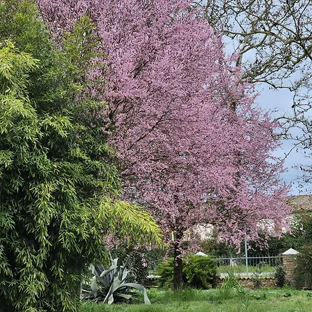 Il Bivio Affittacamere