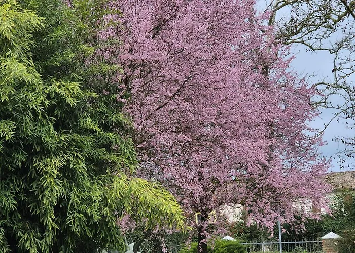 Il Bivio ゲストハウス